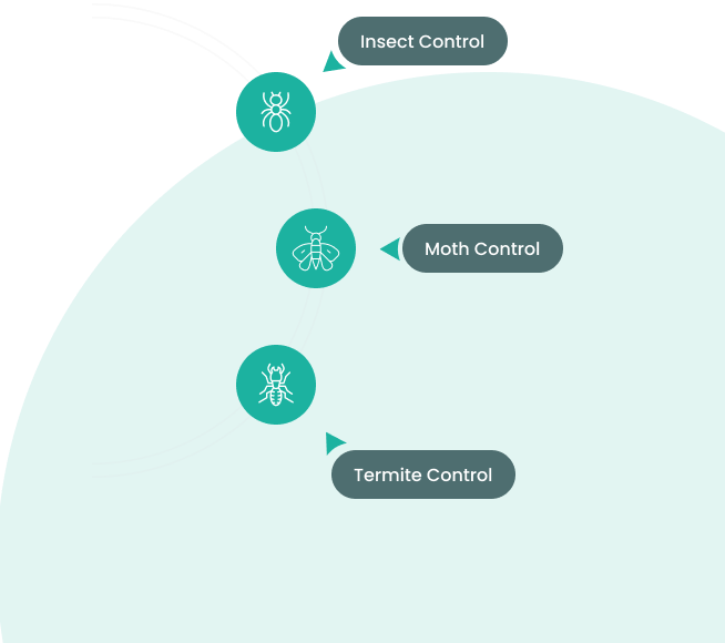 Safeguard your home with our effective  pest control services